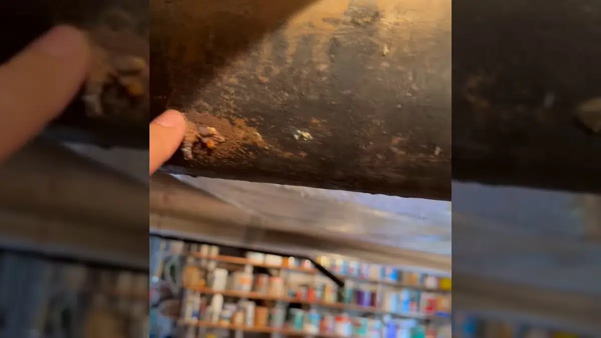 Corroded cast iron drain pipe showing rust and interior wear for Sewer Line Repair in Bellflower, CA